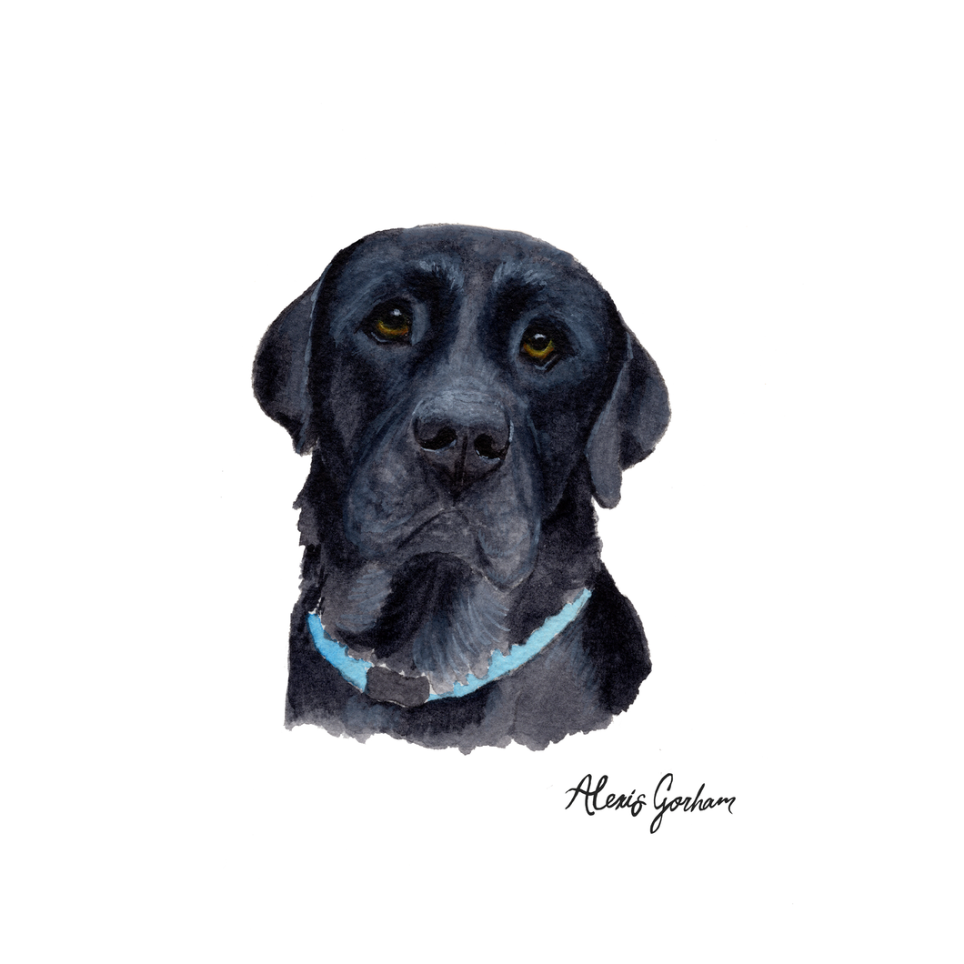 8 x 10 Custom Watercolor Pet Portrait