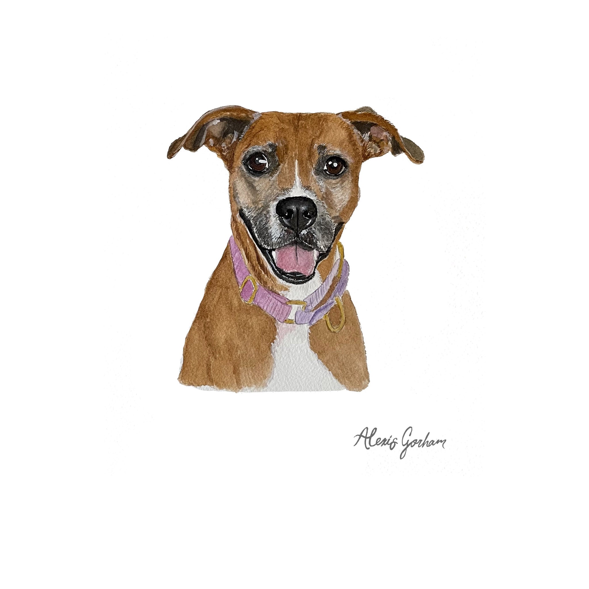 8x10 Pet Portrait Watercolor original art custom good painting